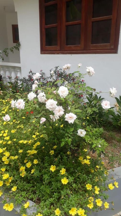 维多利亚 Ogumka, Self Catering , Beoliere, Mahe酒店 外观 照片
