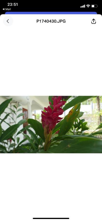 维多利亚 Ogumka, Self Catering , Beoliere, Mahe酒店 外观 照片